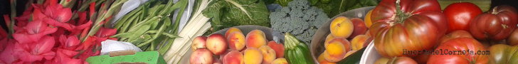 variedades frutas y verduras