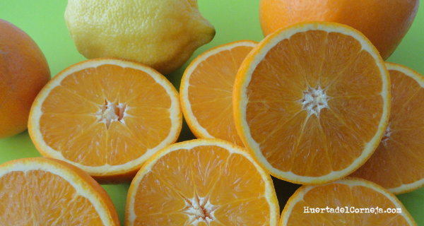 naranjas y limones partidos a la mitad