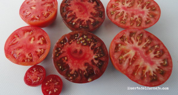 Los mismos tomates cortados