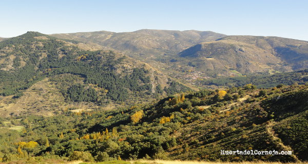 A la derecha regadera, al fondo Serrota y en el valle Navacepedilla de Corneja