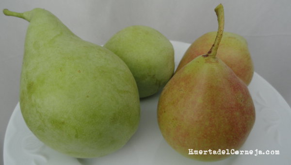 Nuestras dos variedades de peras de Aranjuez.