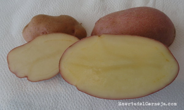 Corte de patatas fina de Gredos y desiree